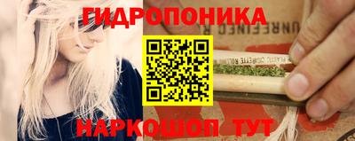 гашик Бузулук