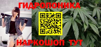 гашик Бузулук