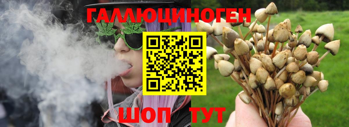 магазин  наркотиков  Вход с VPN  Галлюциногенные грибы мицелий  Ноябрьск  Псилоцибиновые грибы ЛСД 